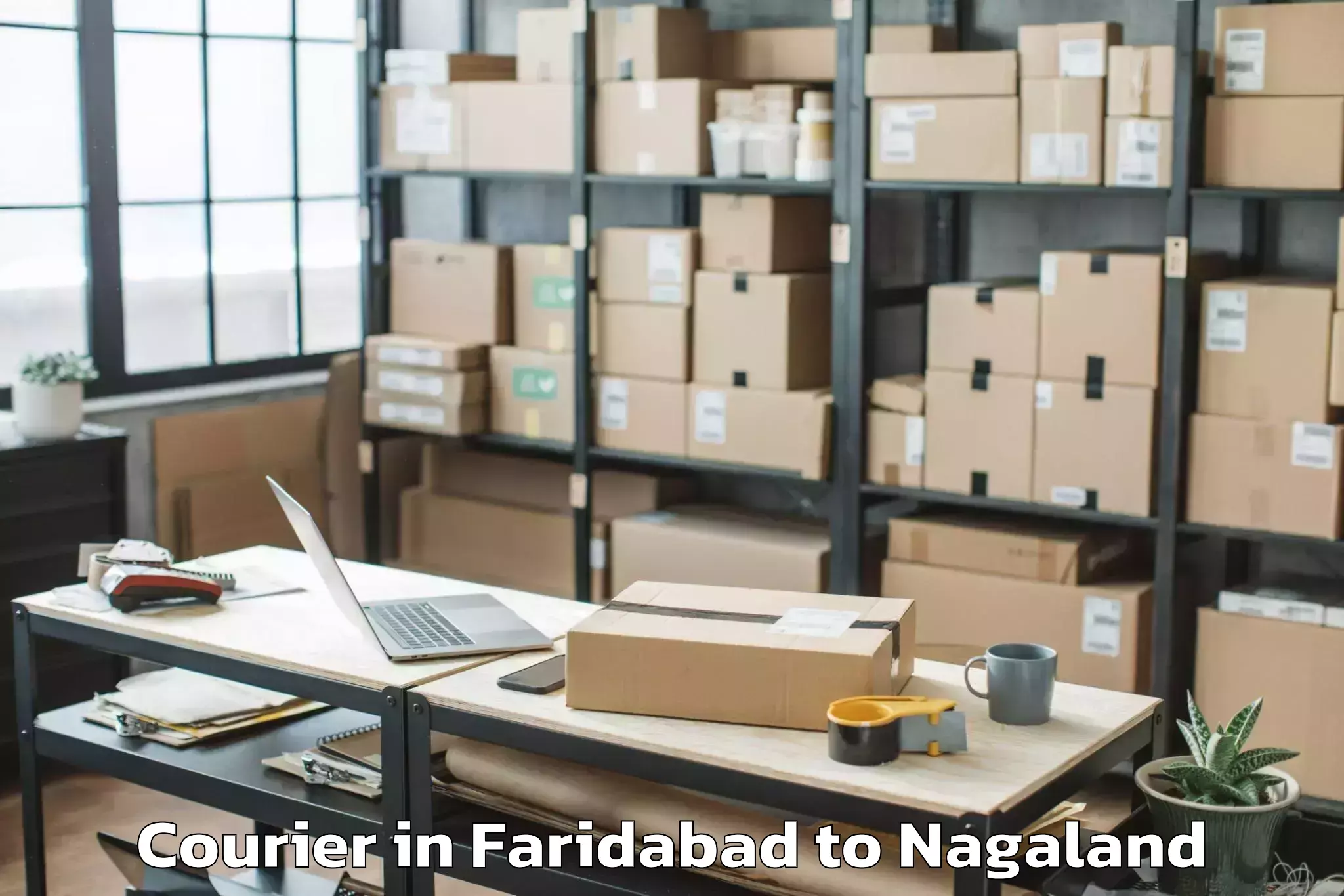 Easy Faridabad to Chozuba Courier Booking